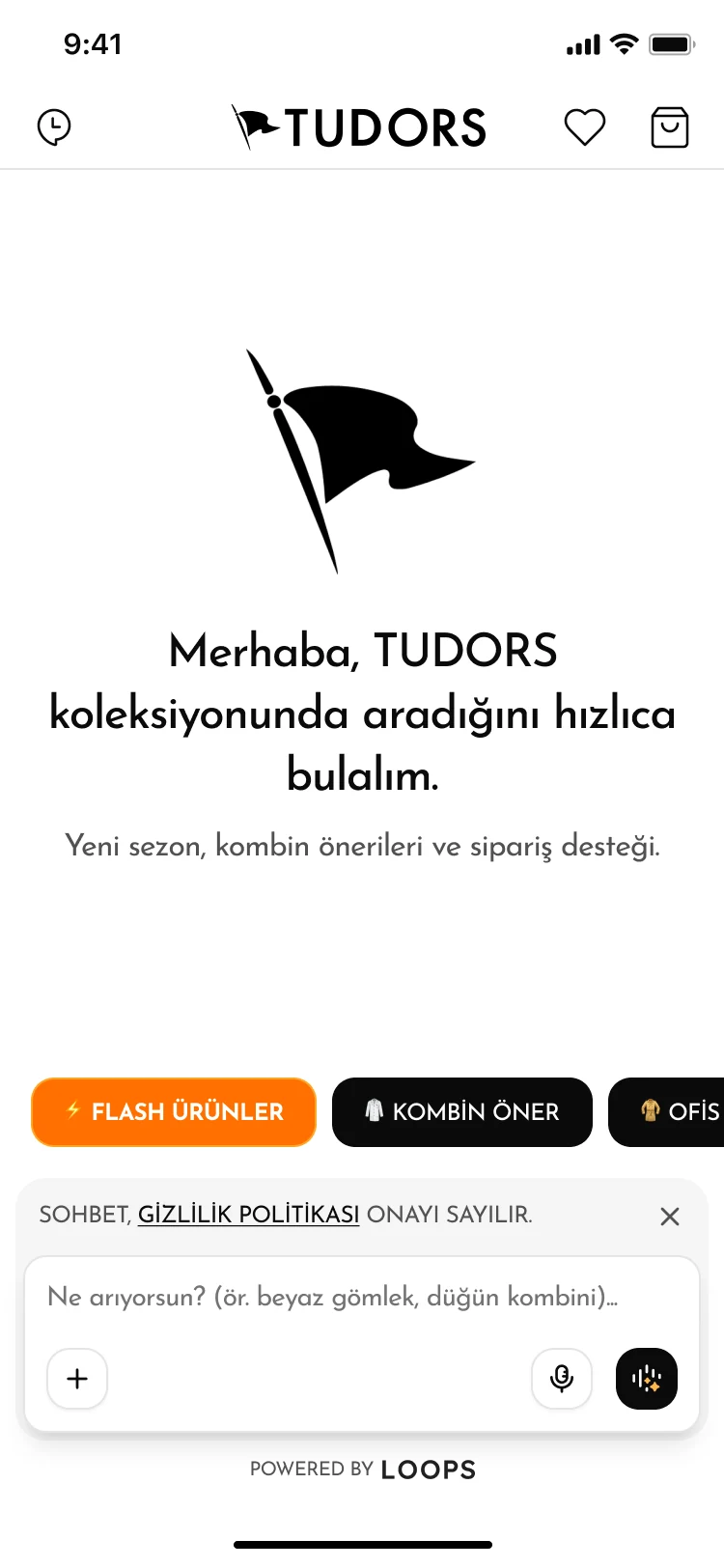 Tudors · Welcome